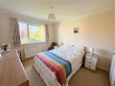 Picture 14